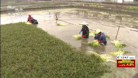 武進新聞